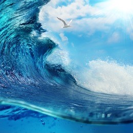 ocean-view seascape breaking surfing ocean wave with cloudy sky seagull and the sun