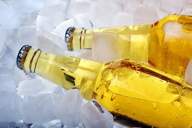 bottles of beer in ice