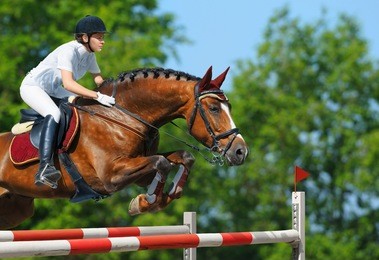 equestrian sport - young woman jumping with bay horse