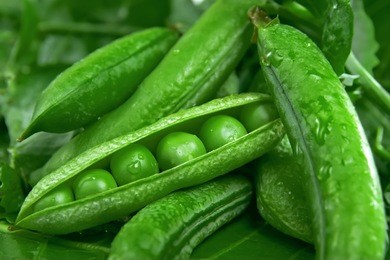 pea in the pod