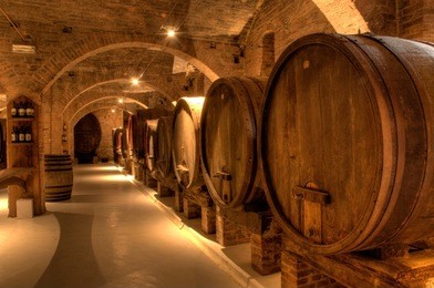wine cellar in the benedictine abbey of monte oliveto maggiore, large monastery in tuscany, italy