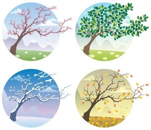 cartoon illustration of tree during the four seasons. 