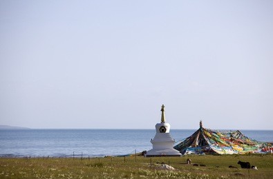 the white pagoda and blue qinghai lake in the summer of west china