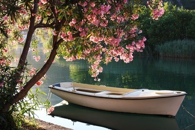 boat on ombla river near rozat, croatia