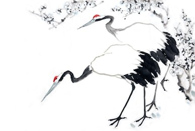 crane and pine(long life)-traditional chinese painting.
