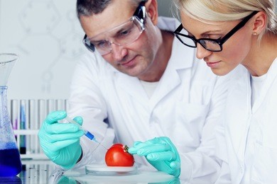 man and woman try to change tomato dna