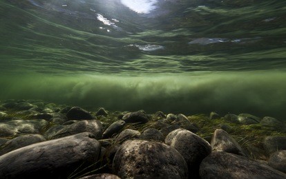 clear water river and melting water river mixing under water, sondrestrom (kangerlussuaq), greenland.