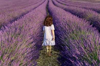 girl walking away in a field of lavender