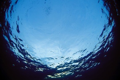 surface from underwater