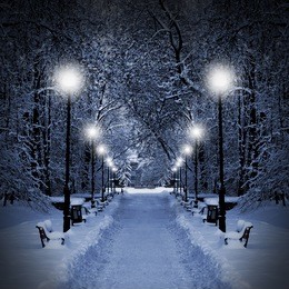 winter park in the evening covered with snow with a row of lamps
