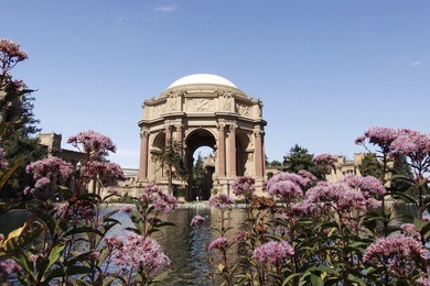palace of fine arts, san francisco,california, looking across pond to dome pink flowers in foreground,blue sky in background.