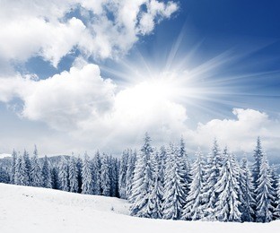 beautiful winter landscape with snow covered trees