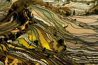 hani rice terraces of yuanyang, yunnan, china
