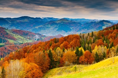 the mountain autumn landscape with colorful forest