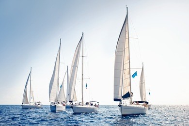 sailing ship yachts with white sails in a row