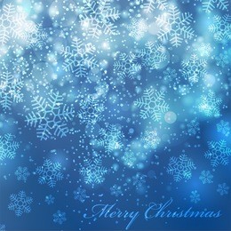 vector elegant christmas background with beautiful snowflakes (eps10)