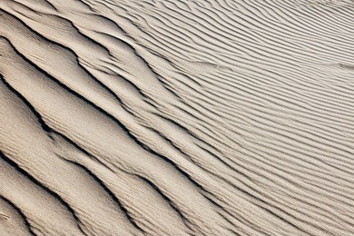 background from a sand dune