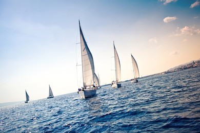 sailing ship yachts with white sails in a row