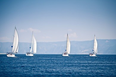 sailing ship yachts with white sails in a row