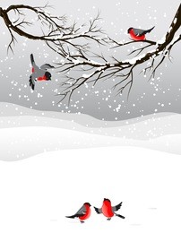 winter background with birds bullfinch with space for text