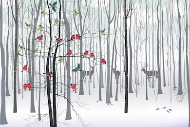 christmas tree in the forest