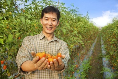 asian farmer holding tomato on his farm