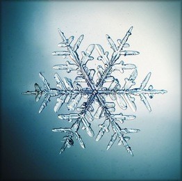 natural snowflake macro
