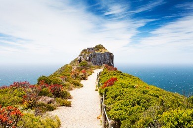 cape point nature reserve, south africa