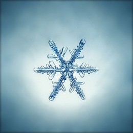 natural snowflake macro