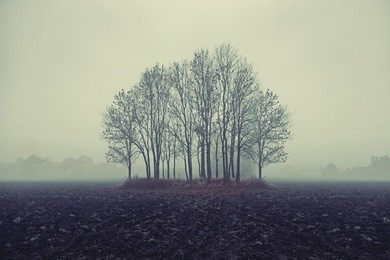 beautiful winter landscape