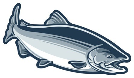 salmon