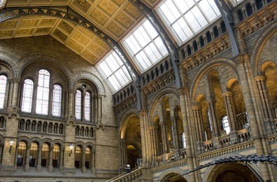 the main hall in the natural history museum, london.