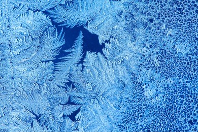 frost patterns on window glass
