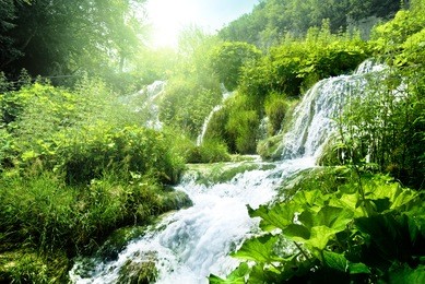 waterfall in deep forest