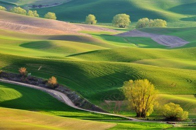 the rolling hills farmland in palouse washington