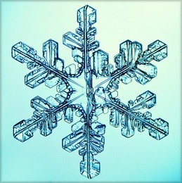 ice crystal snowflake macro