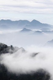 mountains with trees and fog in monochrome color shot in taiwan asian