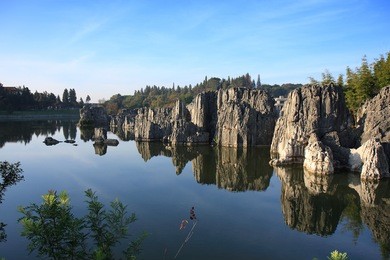 limestone formation at the shilin stone forest national park, near kunming, china.