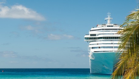 white cruise ship and palm tree
