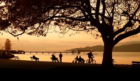 stanley park vancouver