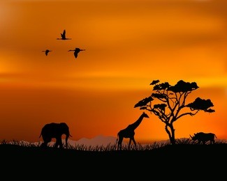 african nature