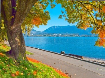 gorgeous sea walk in the park. stanley park, vancouver, canada.