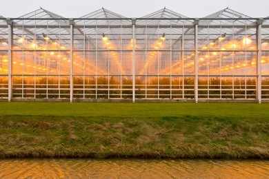 background of a commercial greenhouse