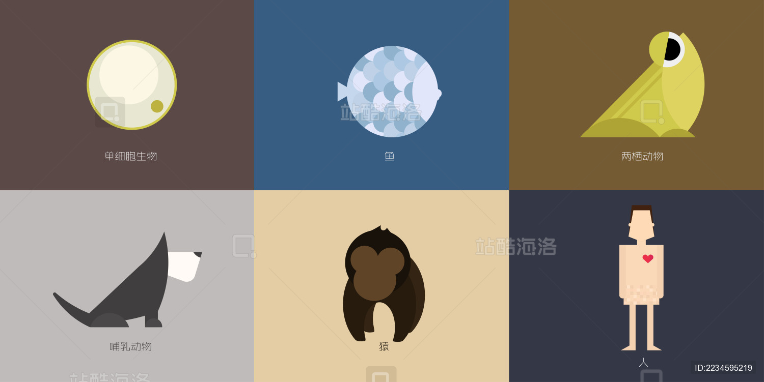 单细胞生物鱼两栖动物哺乳动物猿人