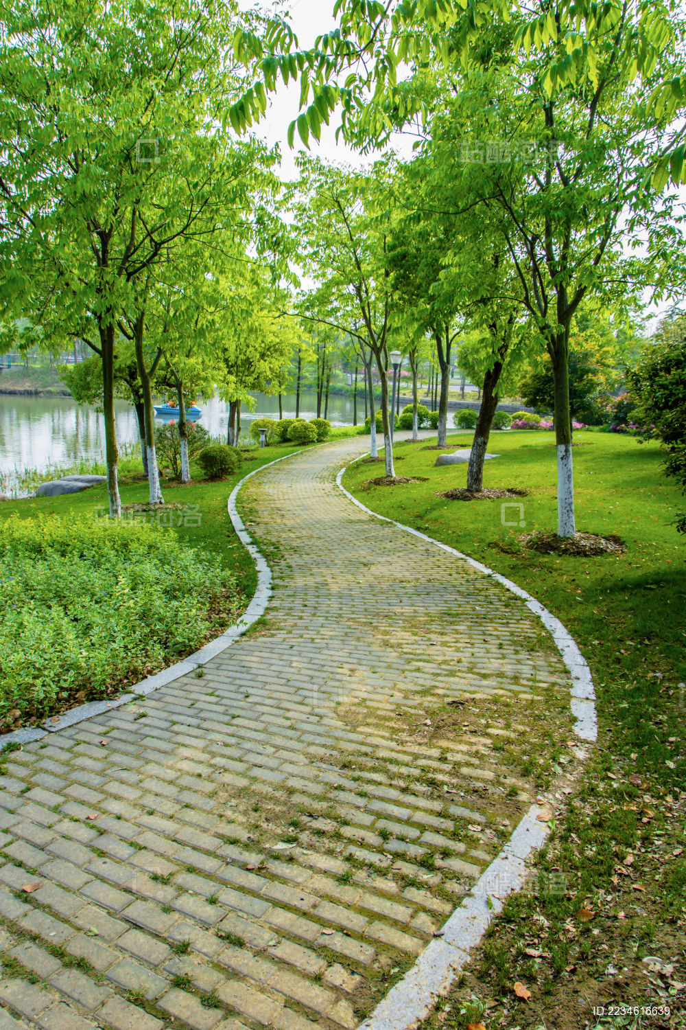 Green grass on a golf field