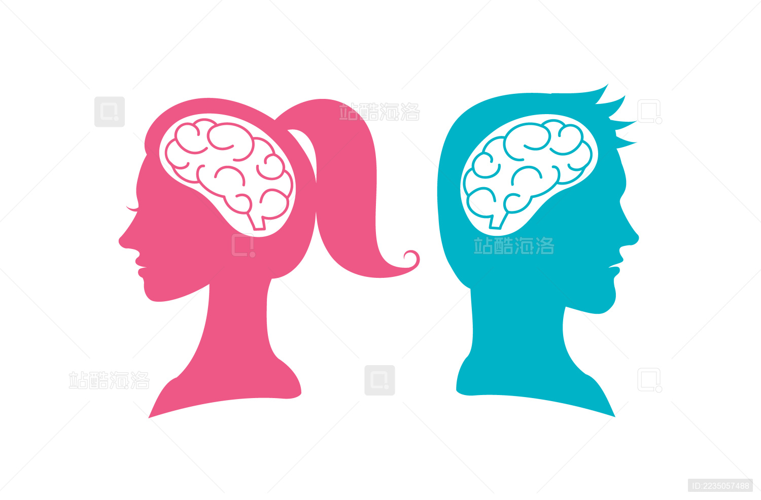 男女头脑心里区别轮框