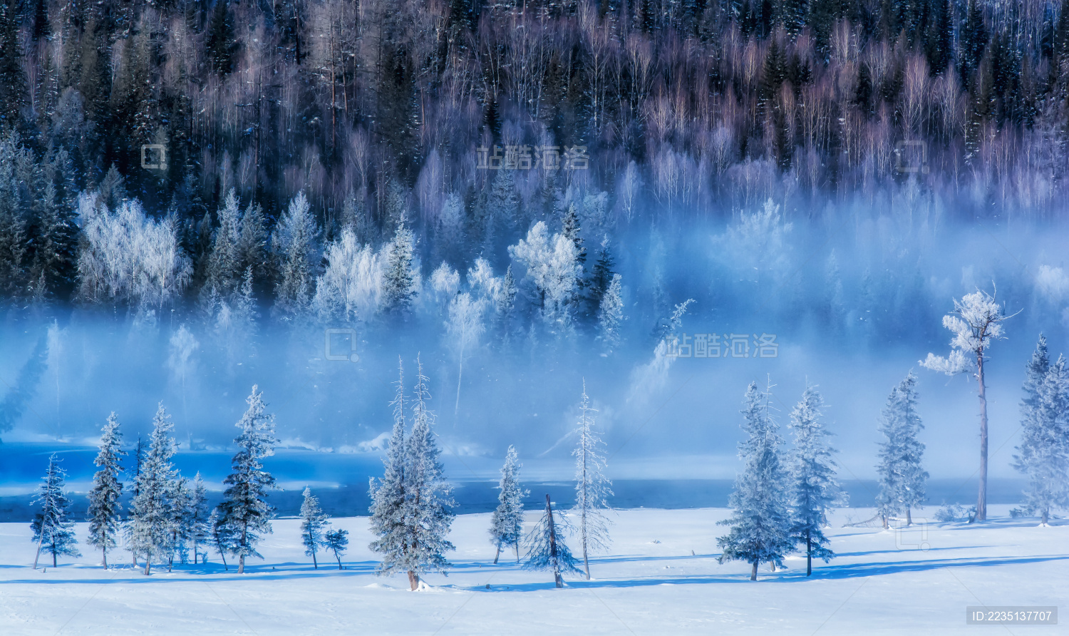 新疆喀纳斯神仙湾晨雾