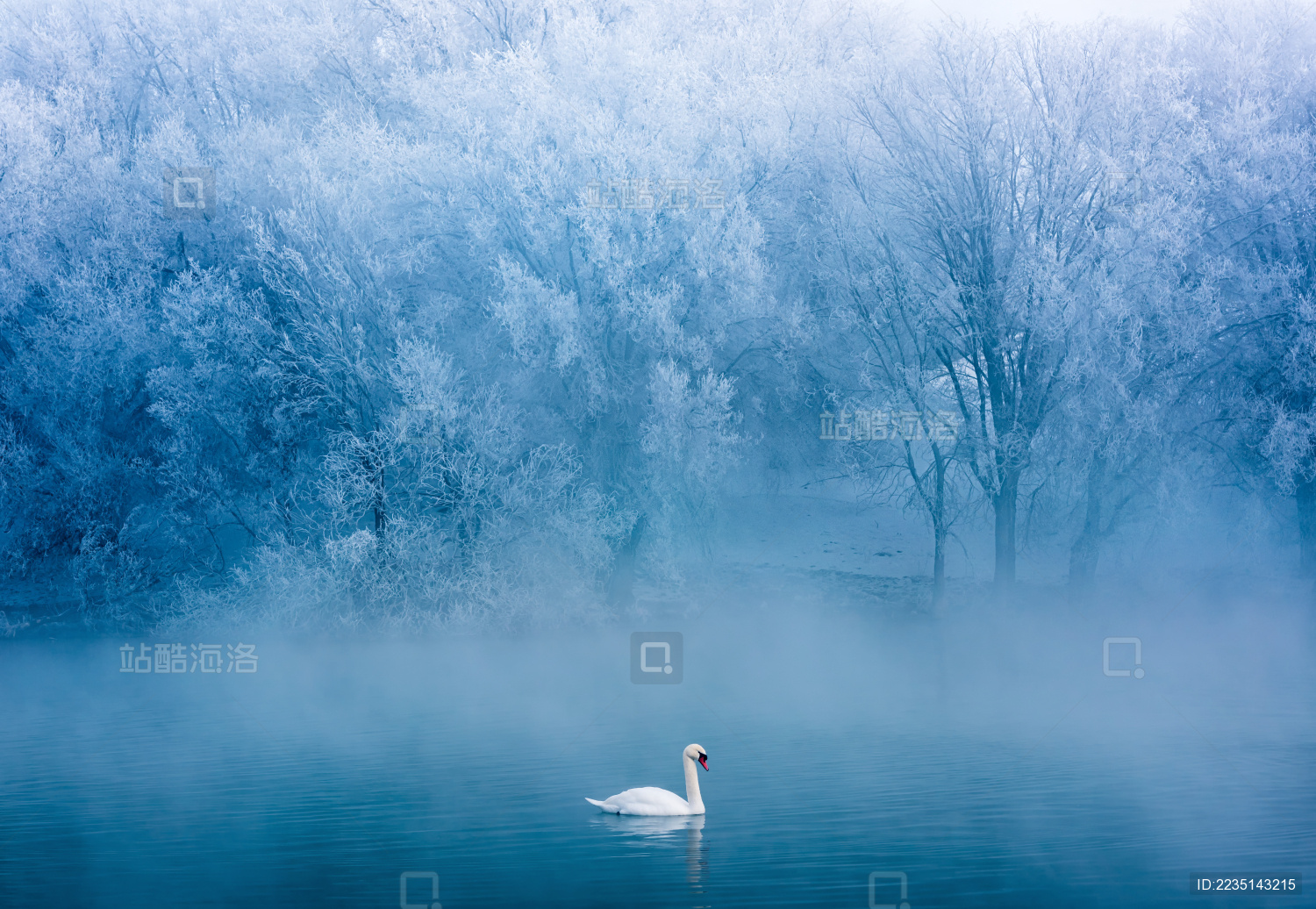 中国新疆伊犁天鹅泉