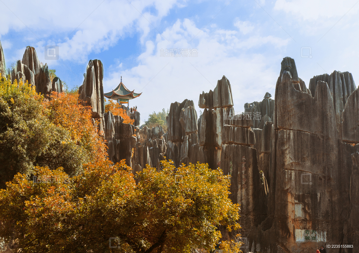 石林地质公园特有的地形地貌