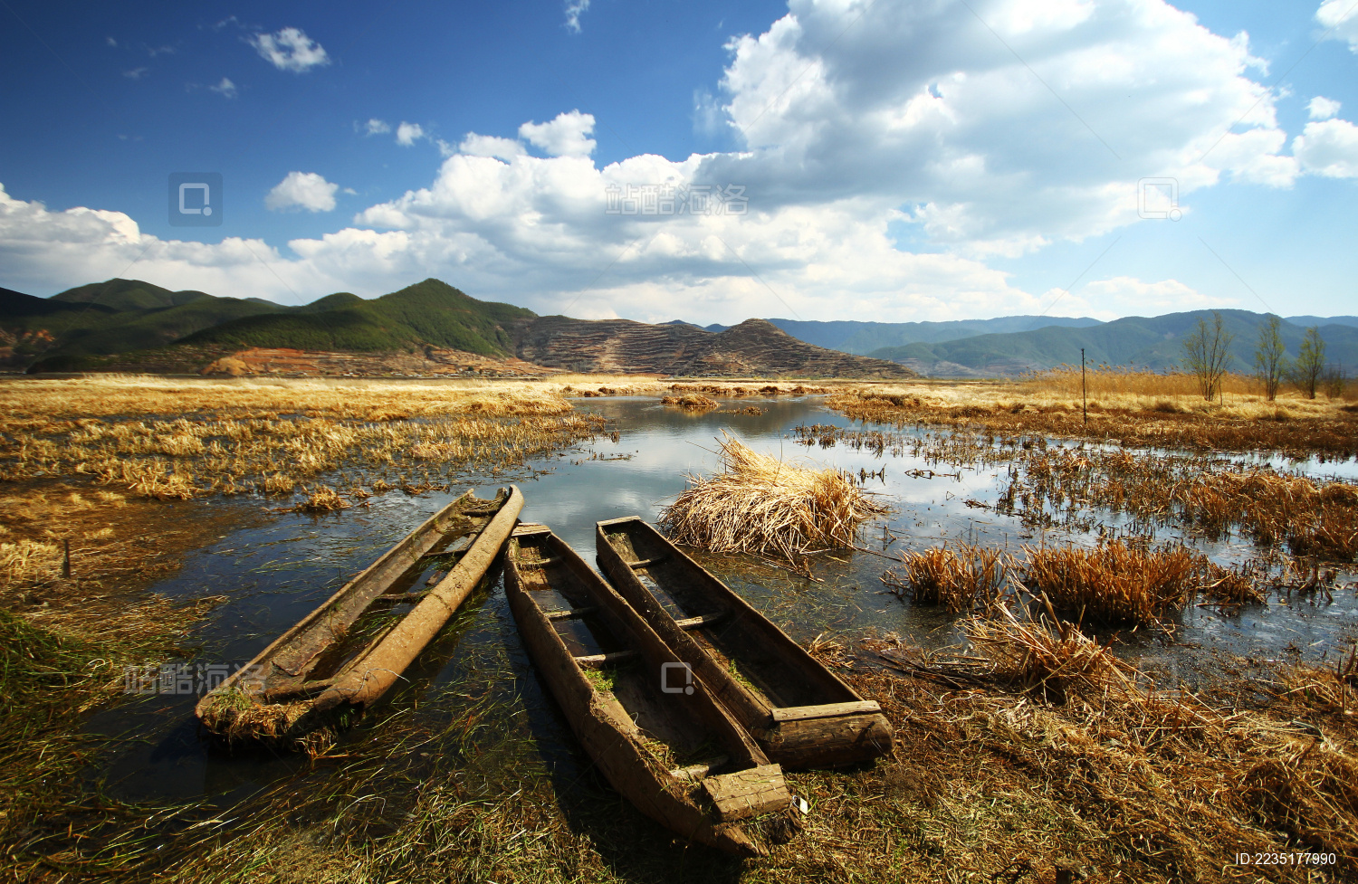 中国四川泸沽湖草海湿地秋季风景